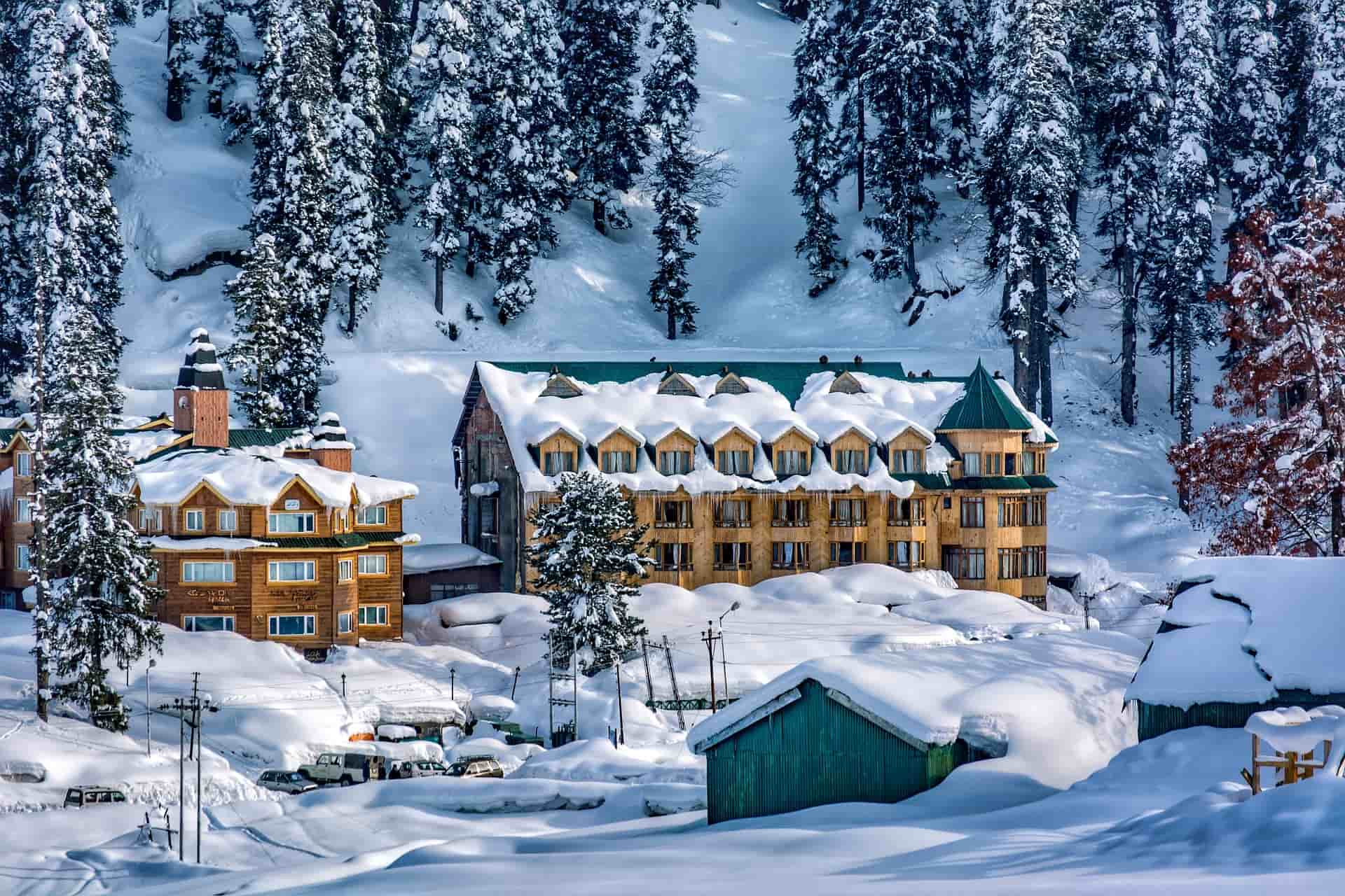 Family Tour Package