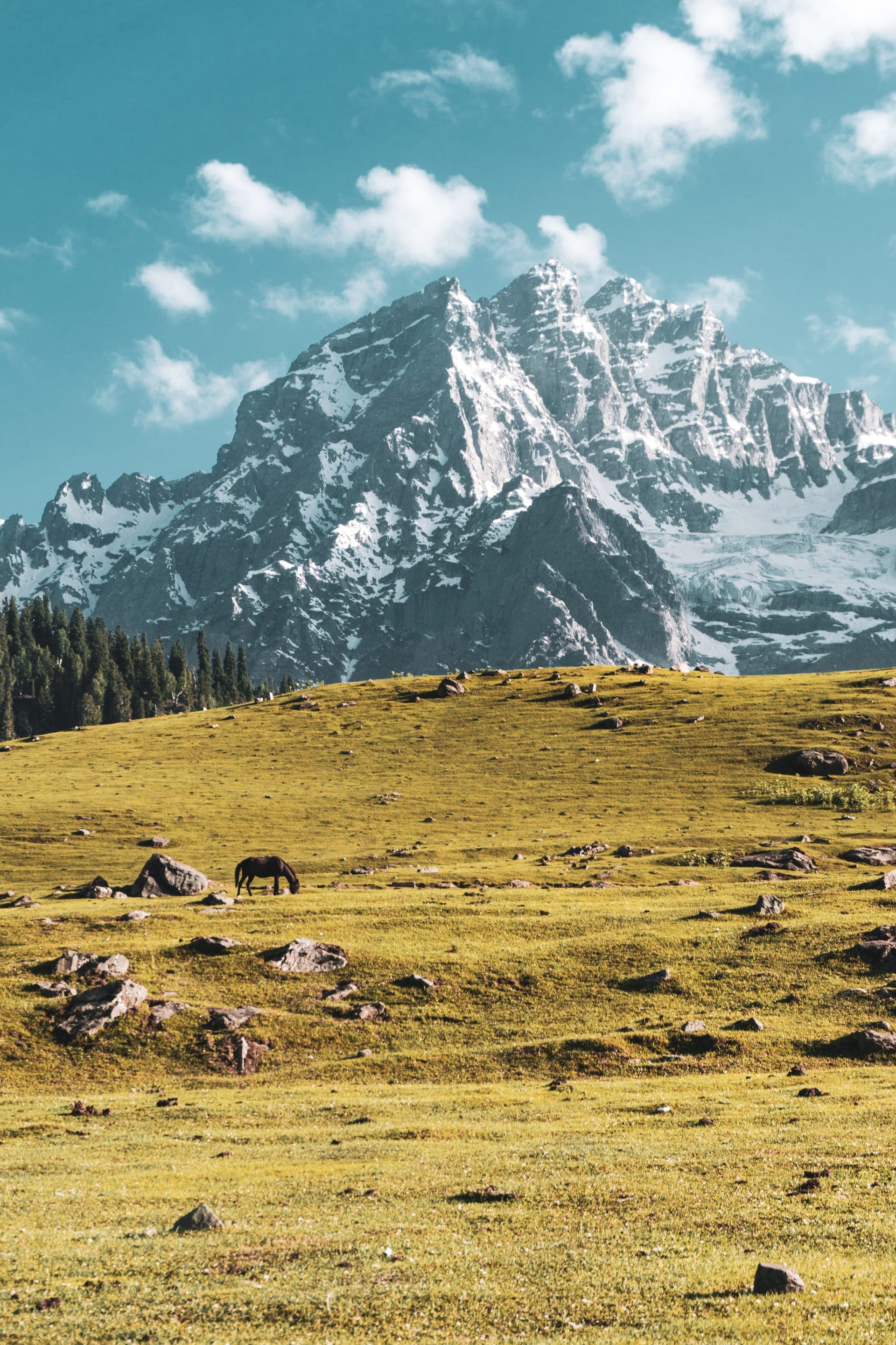 Sonmarg