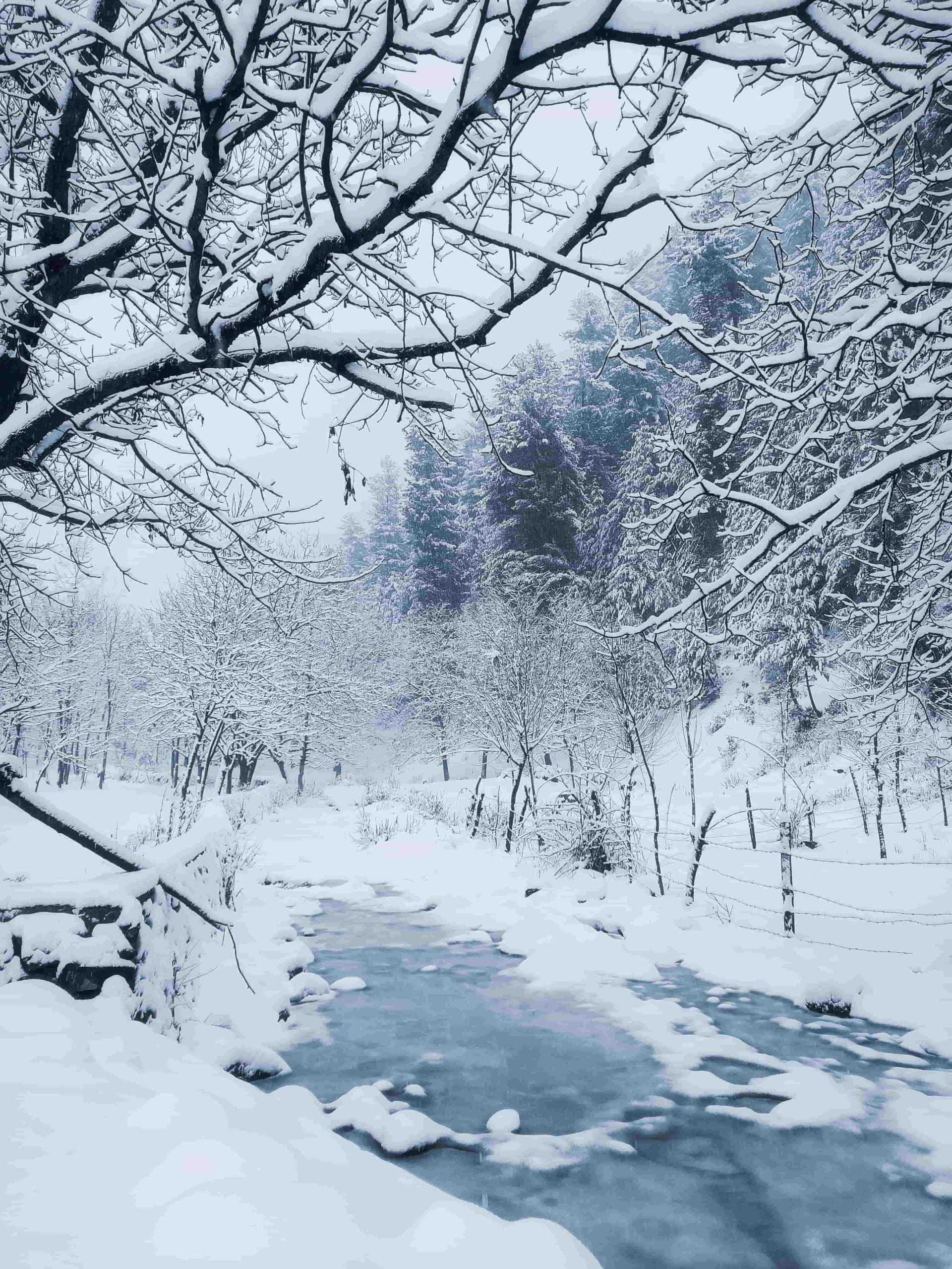 About Discover Kashmir